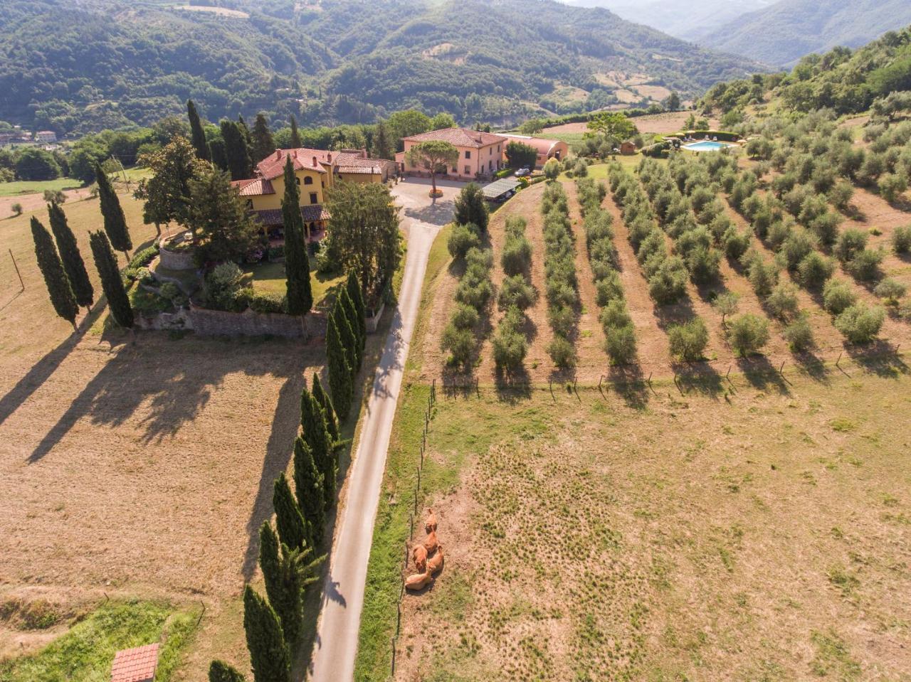 Vila Trebbiolo Dicomano Exteriér fotografie